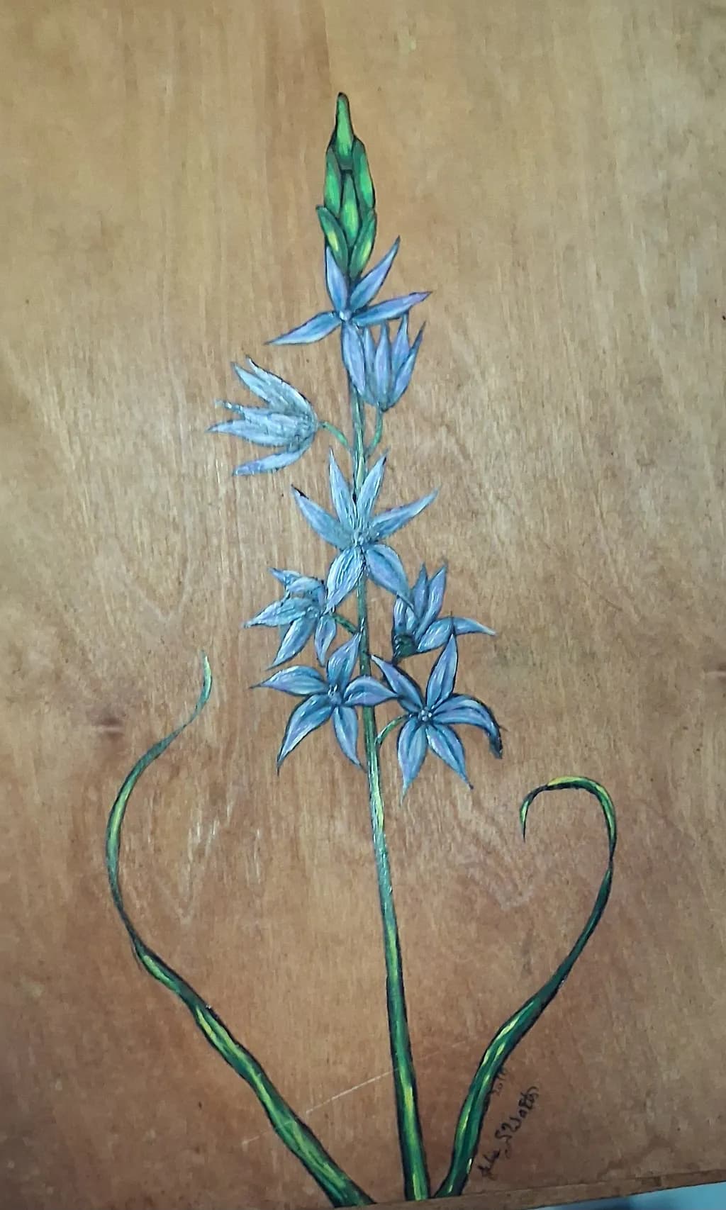 Blue Bloom on Wood
