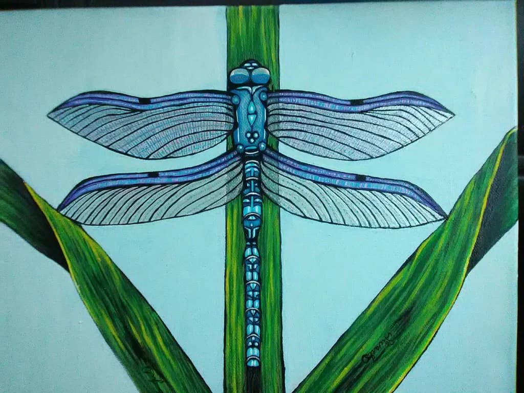 Holly's Dragonfly