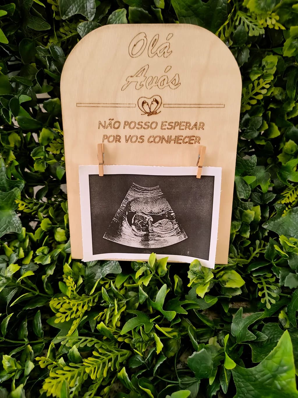 Hello Grandparents Ultrasound Display