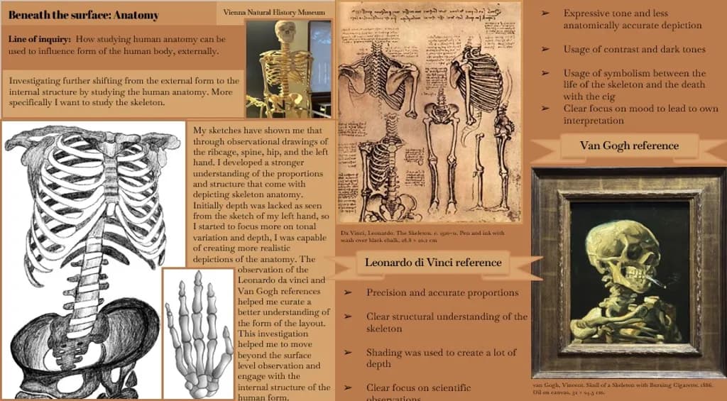 Beneath the Surface: Anatomy