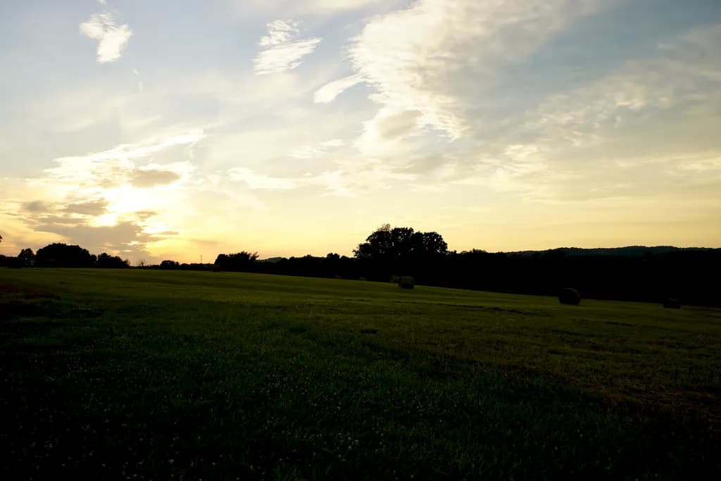 Golden Horizon
