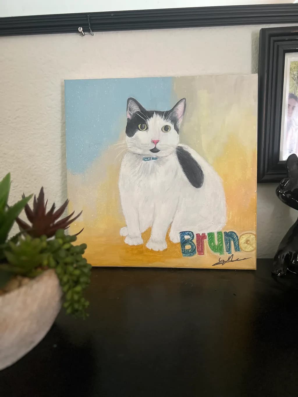 Bruno the Cat