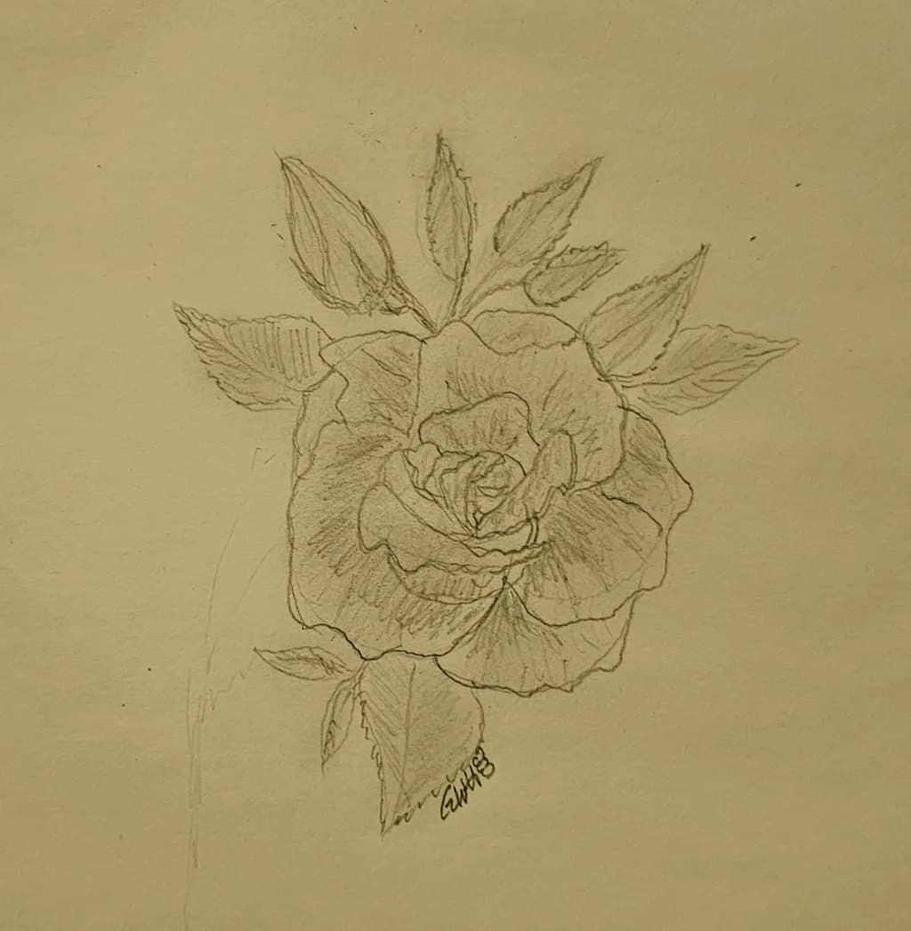 Blossom Outline