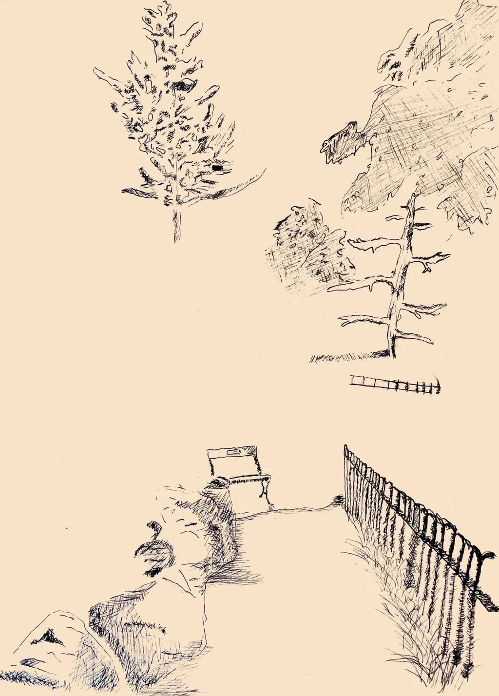 Park Bench Sketch
