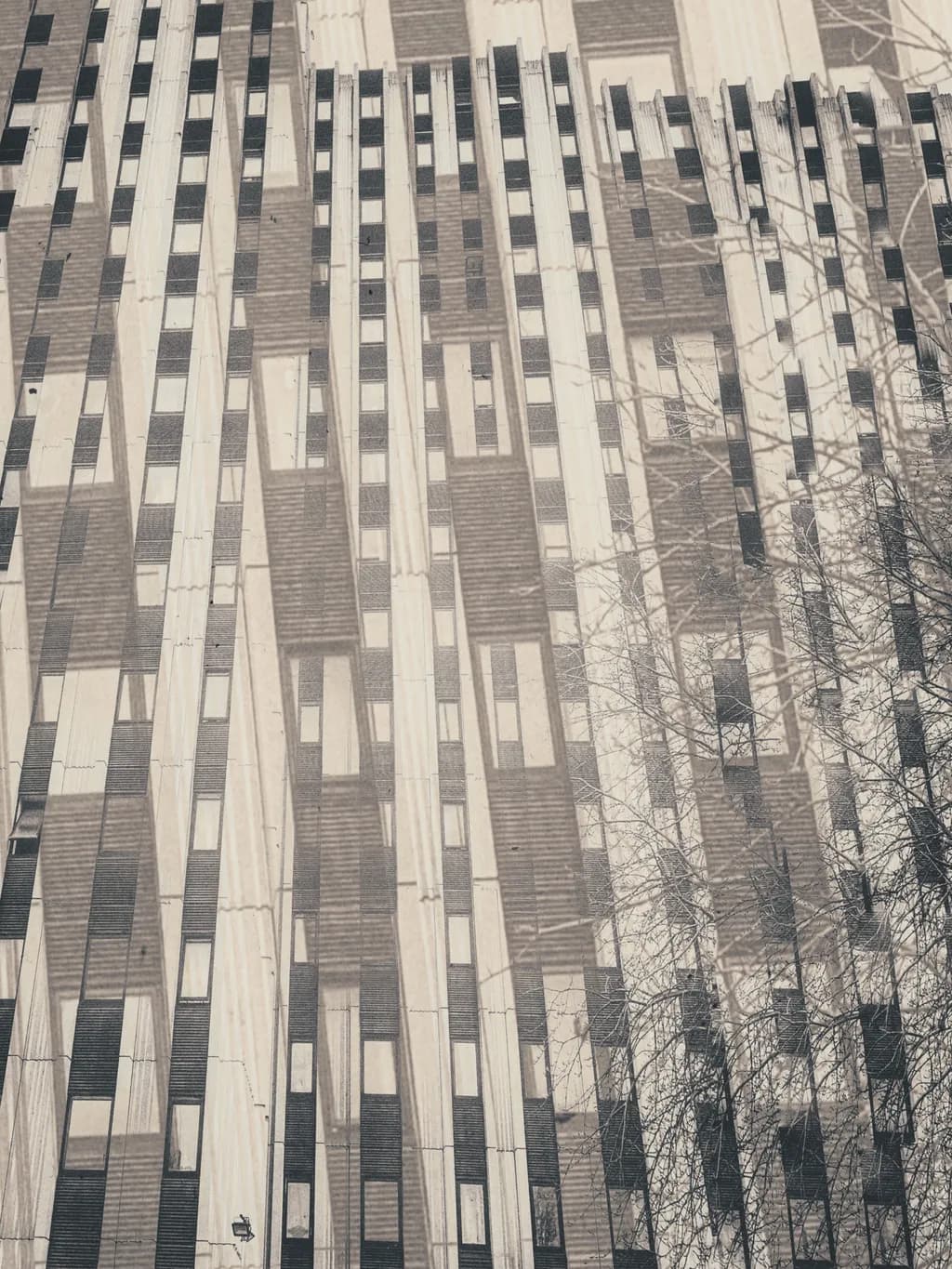 Fragmented Facade