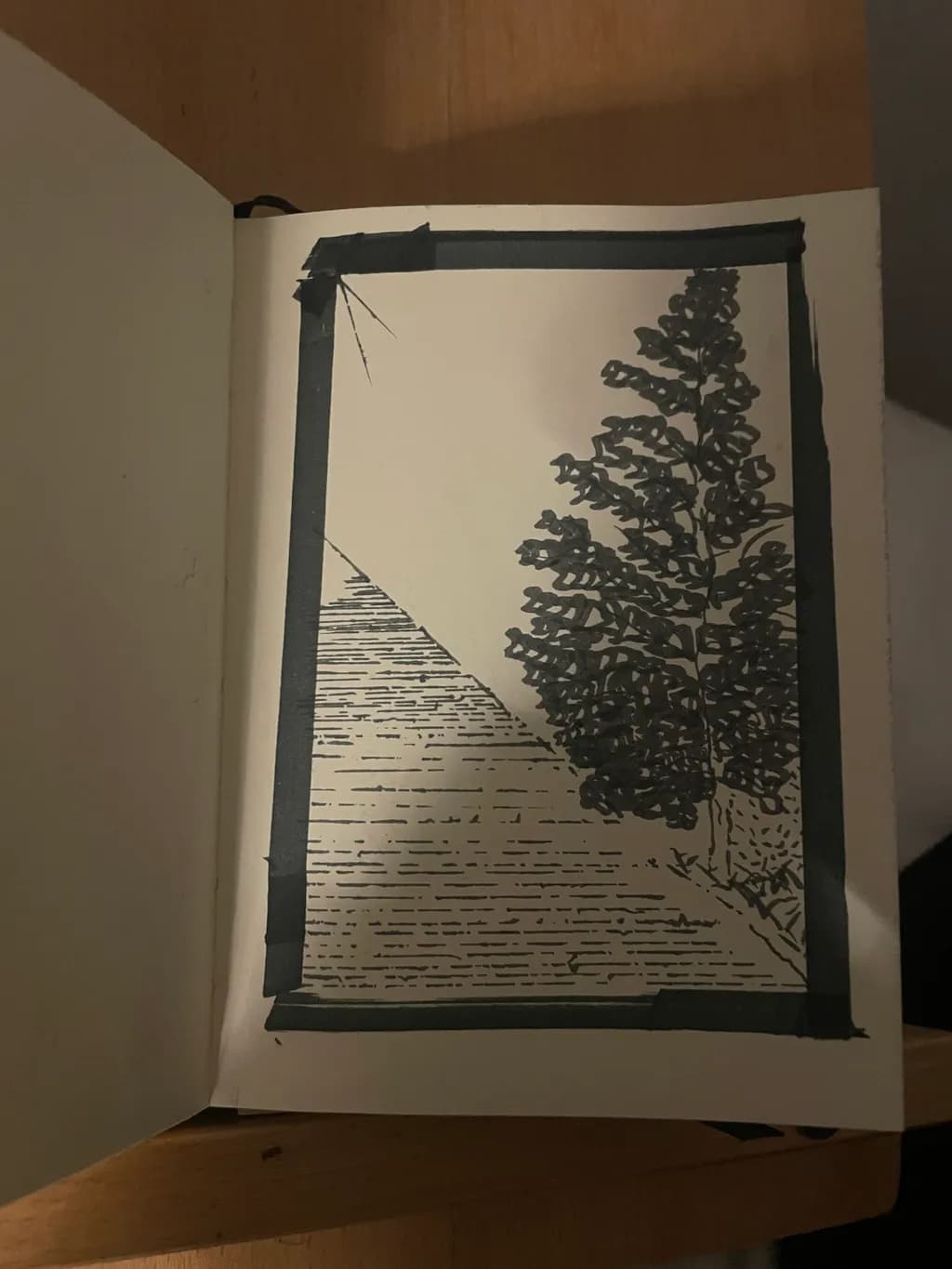 Shadowed Tree Pathway
