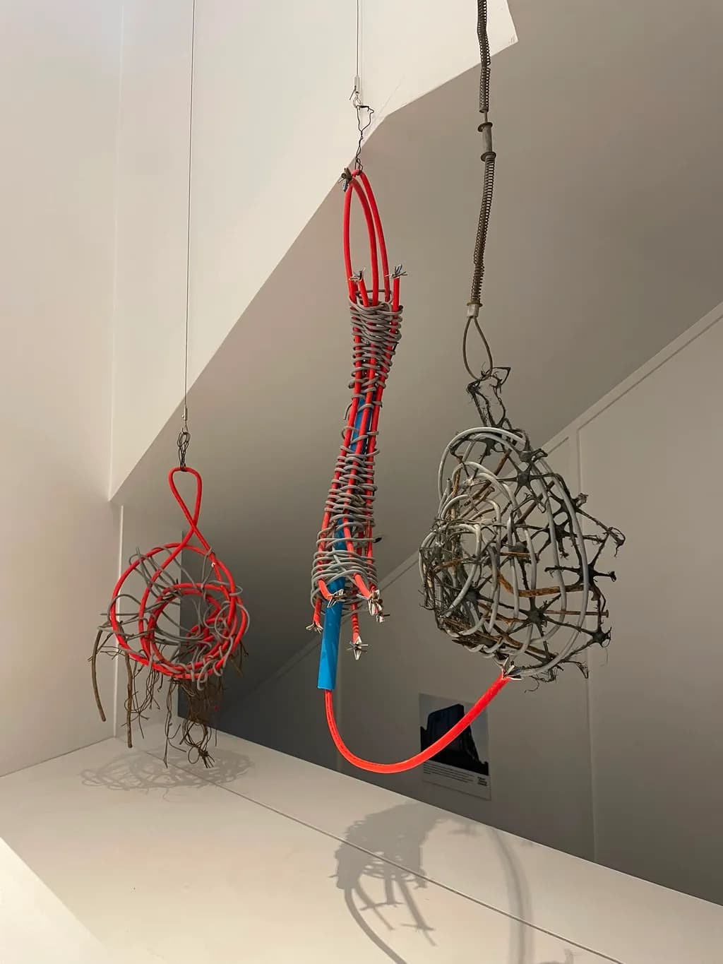 Tangled Currents