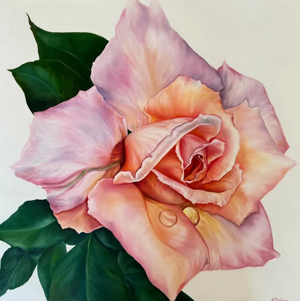 Early Morning Rose