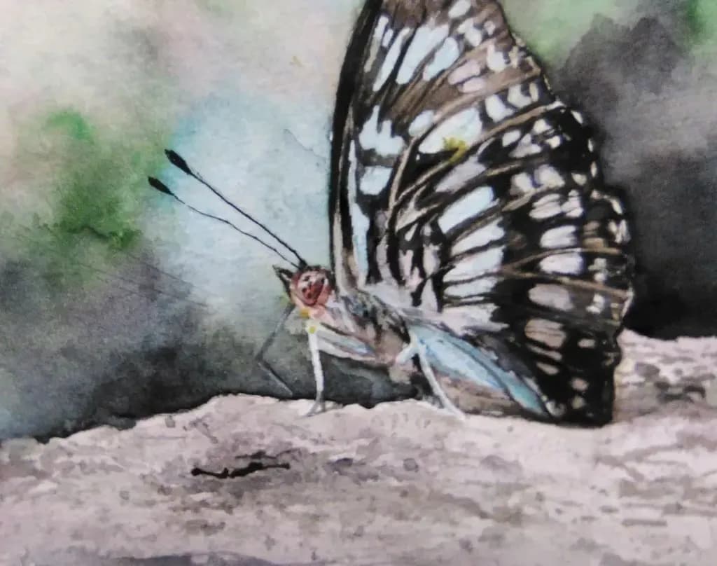 Resting Wings