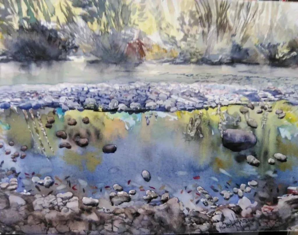 Reflections Beneath Stones