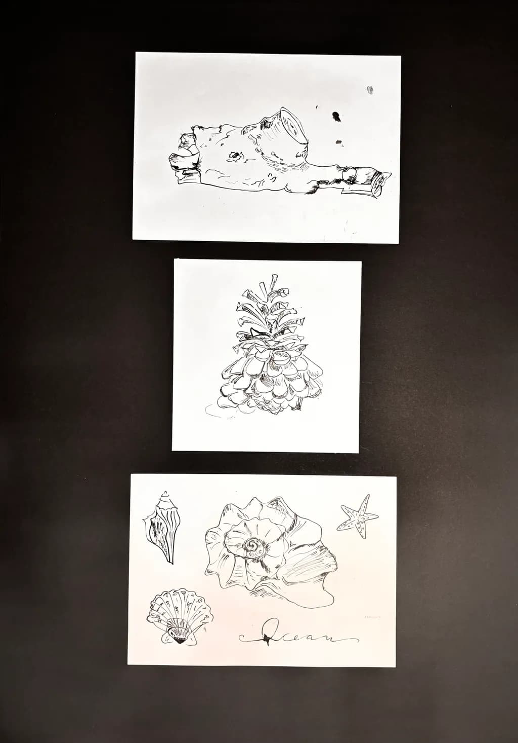 Nature Collection