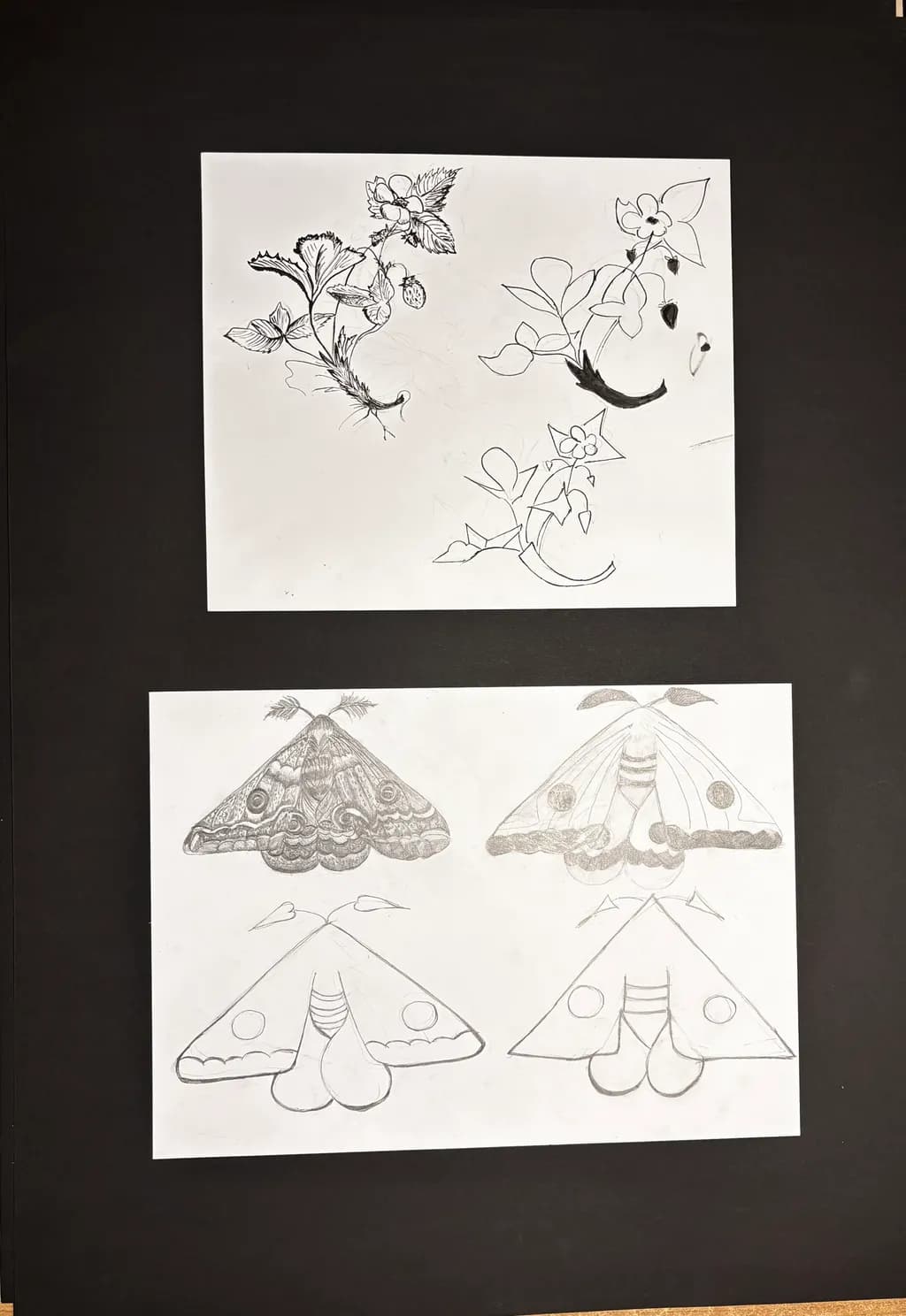 Floral Moth Studies