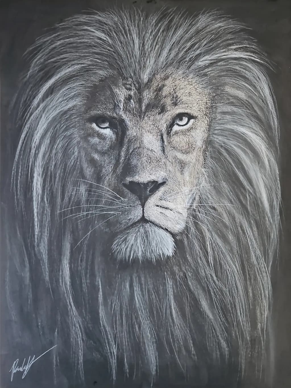 Regal Gaze
