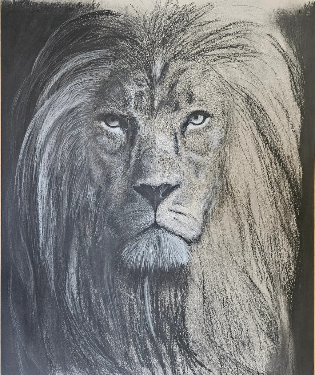 Majestic Gaze