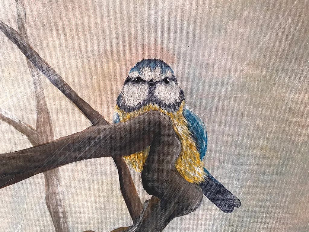 Blue Tit Perch