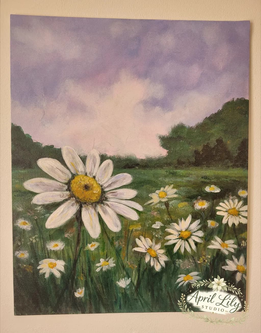 Daisy Meadow