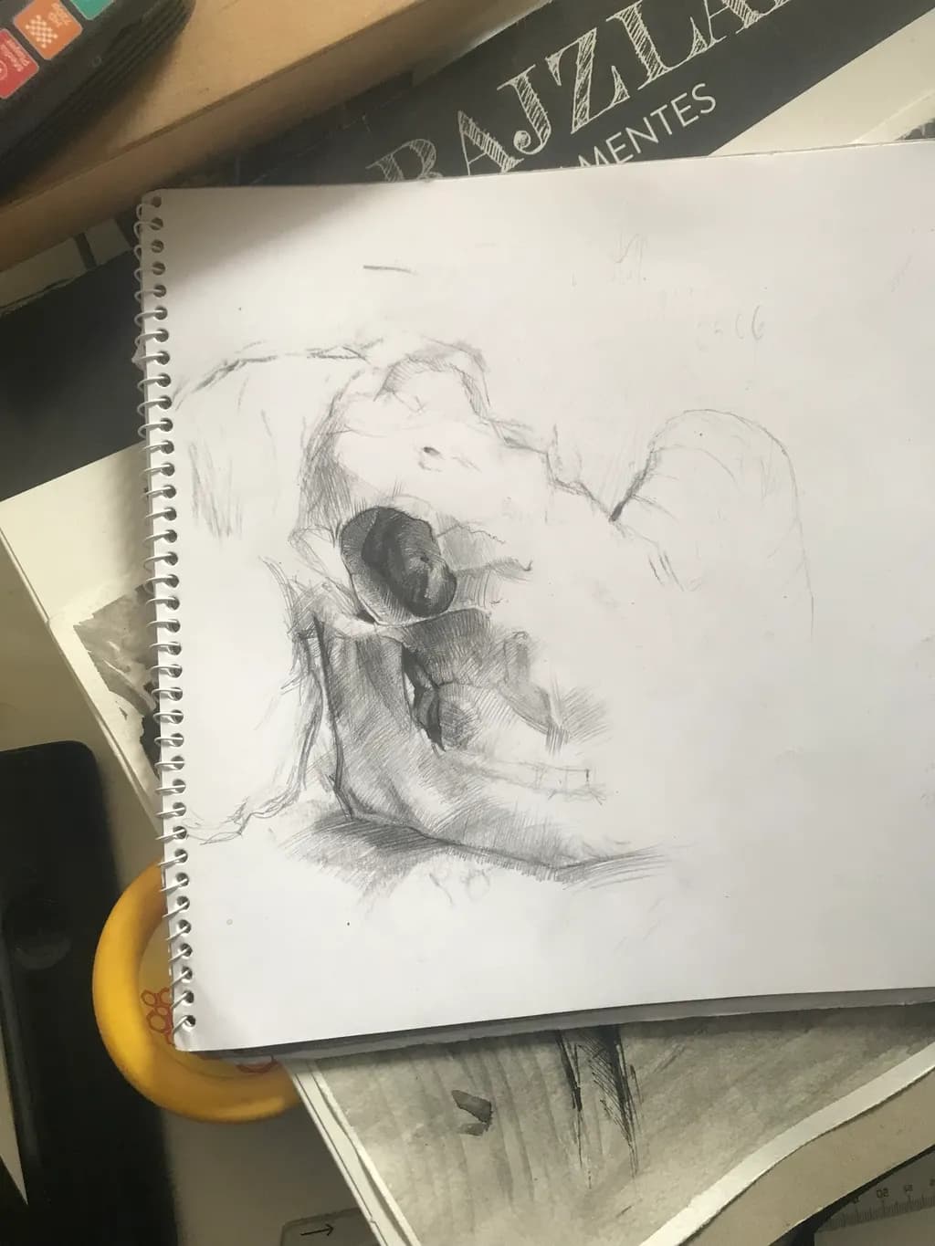 Fossil Study
