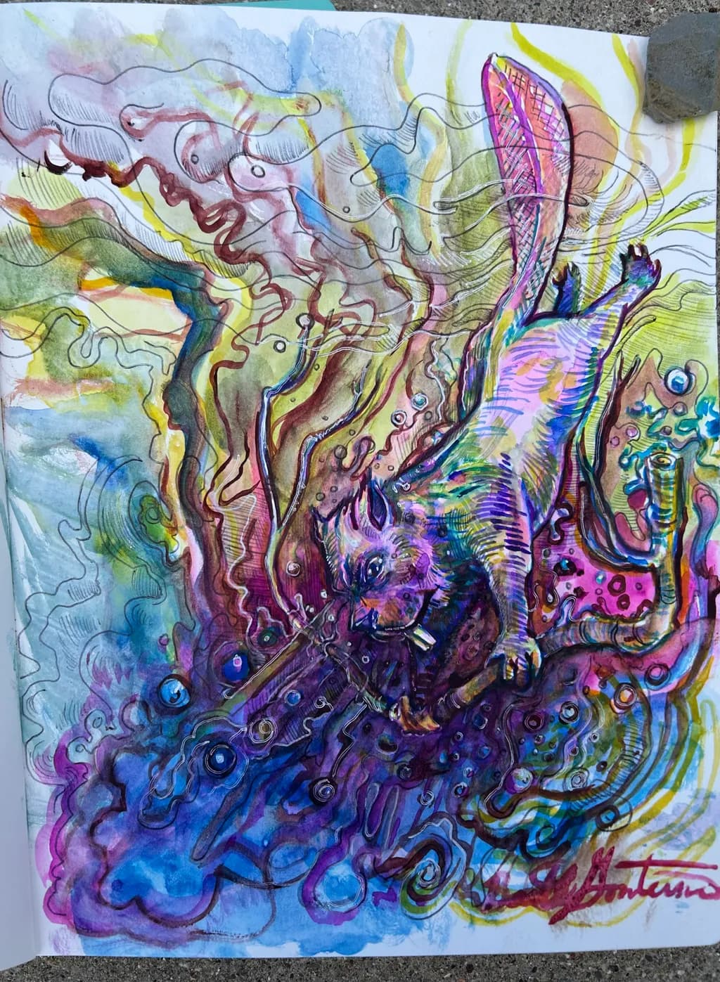 Pink Diving Beaver