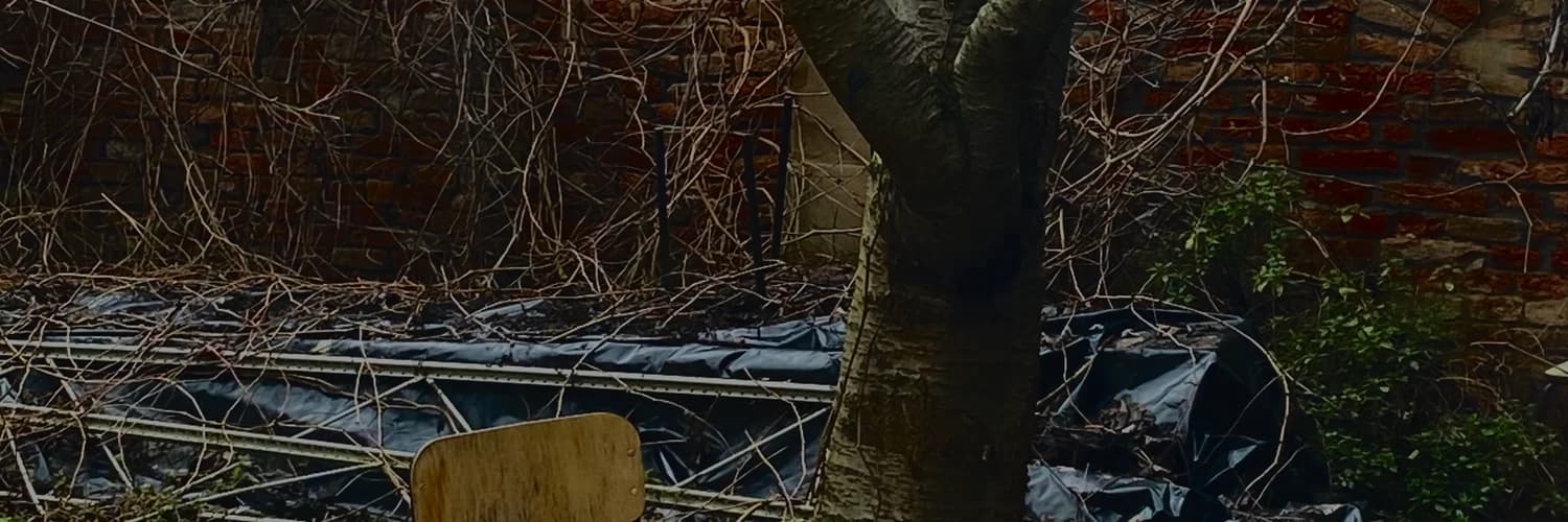 Profilbanner