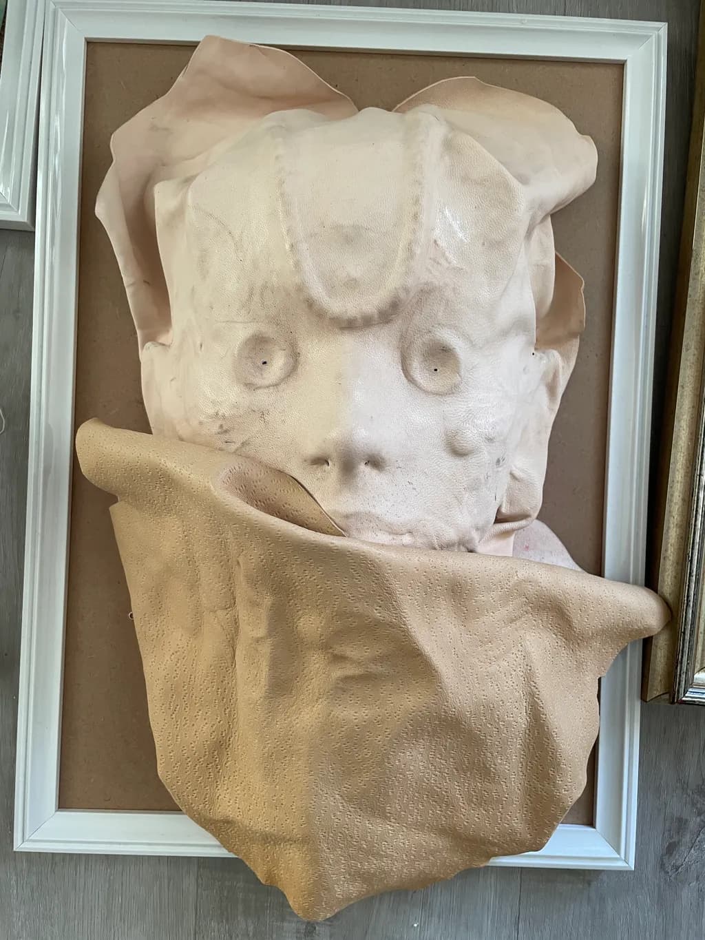 Veiled Creature Mask