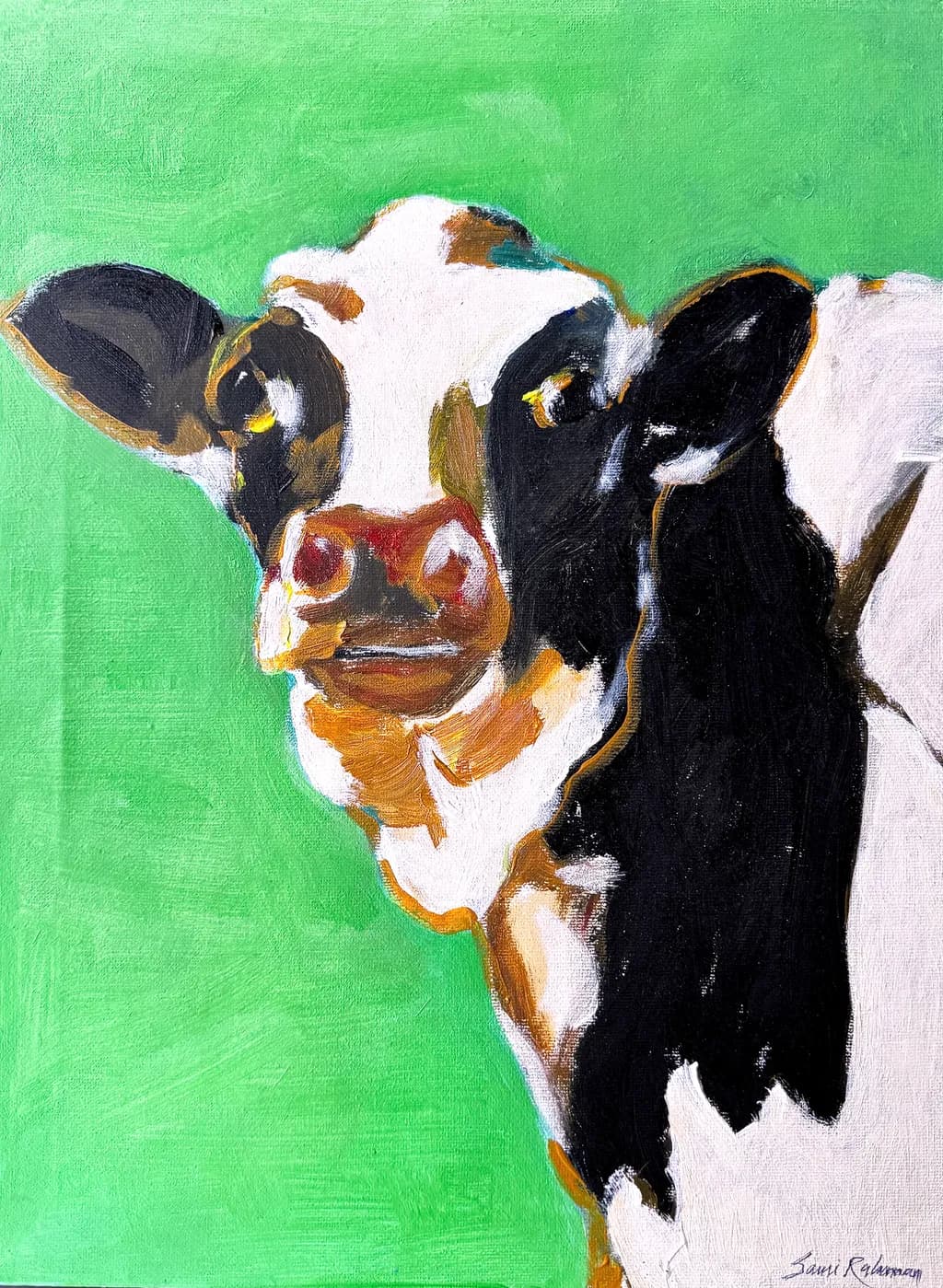 Curious Bovine
