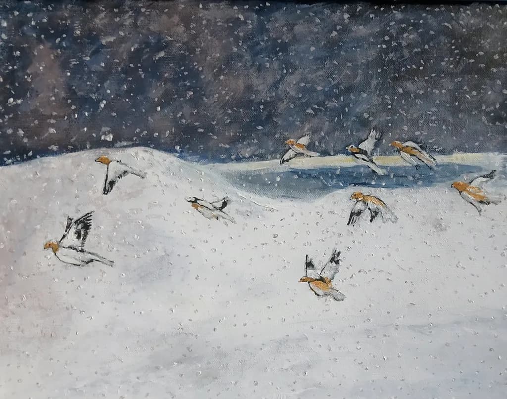 Snowy Flight