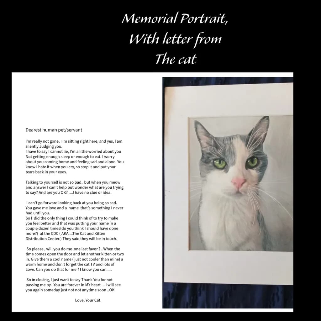 Judging Eyes Memorial