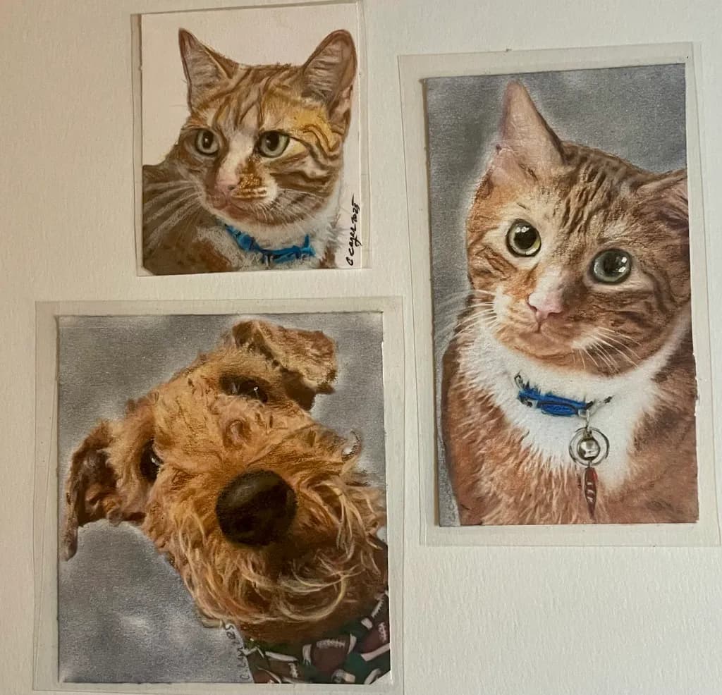 Furry Companions