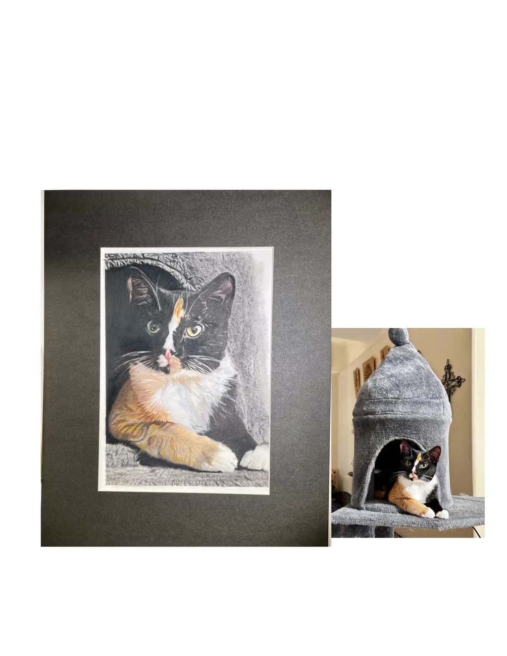 Calico Repose