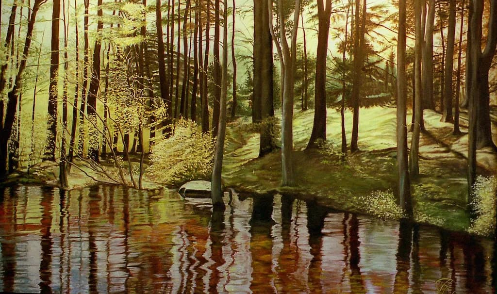 Prince's Park Forest Pond