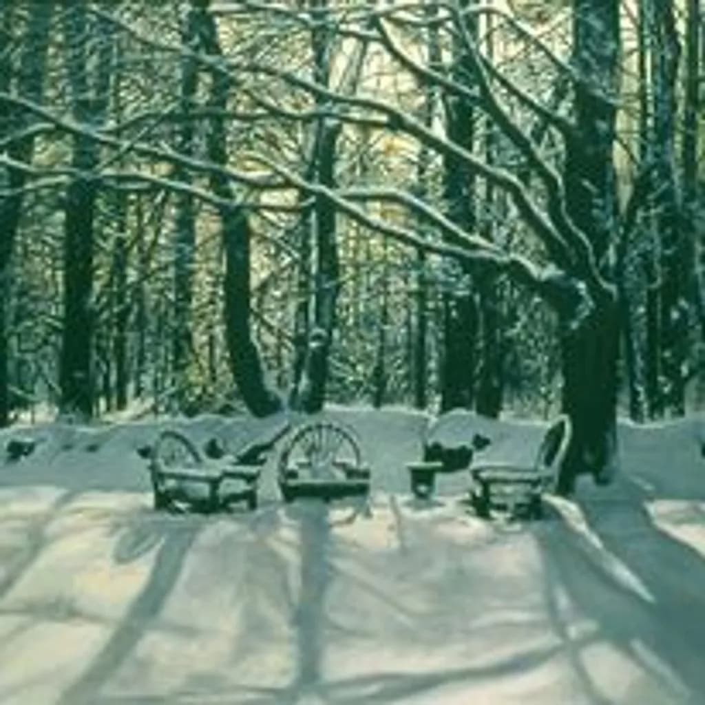 Winter Trees and Bench Shadows