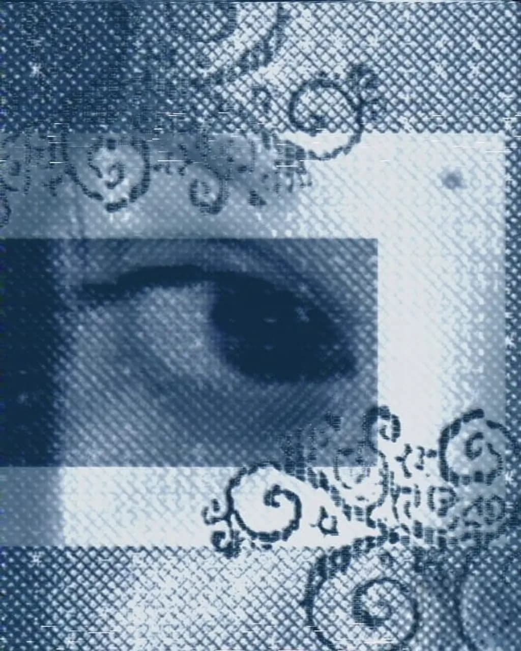 Fragmented Gaze