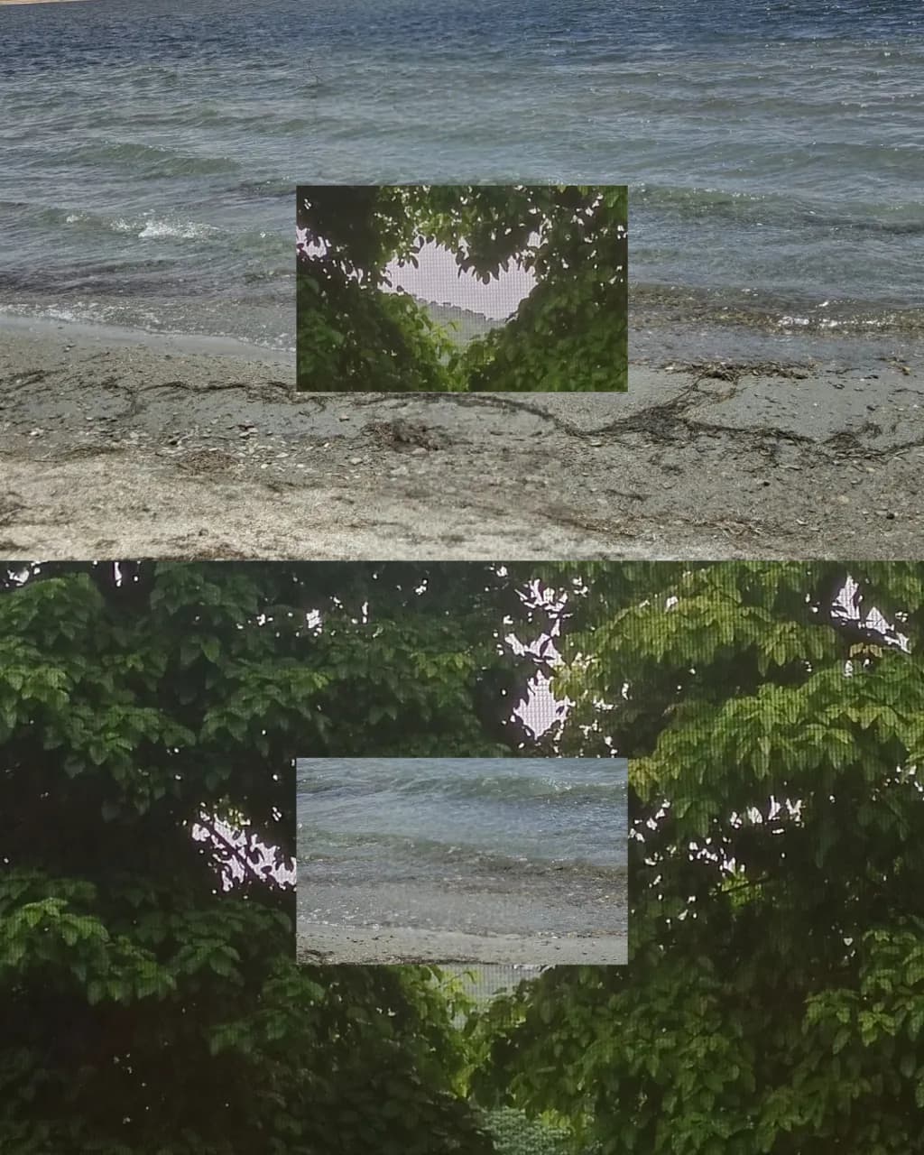 Shoreline Reverie