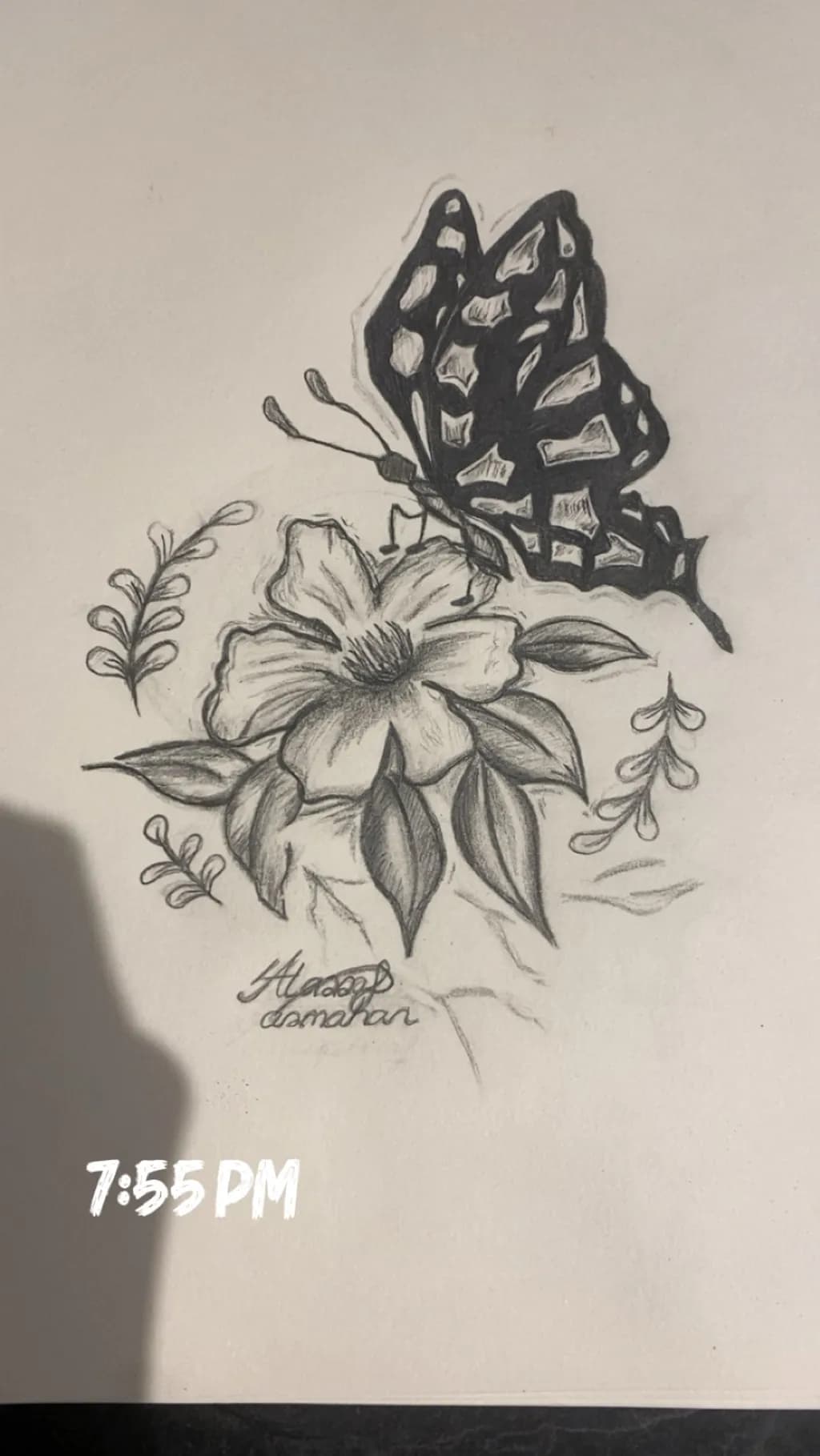 Butterfly on Flower