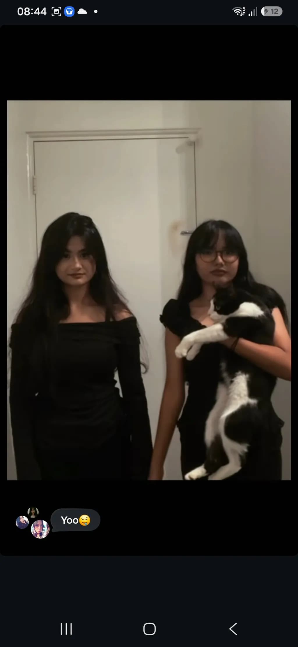 Twin Shadows