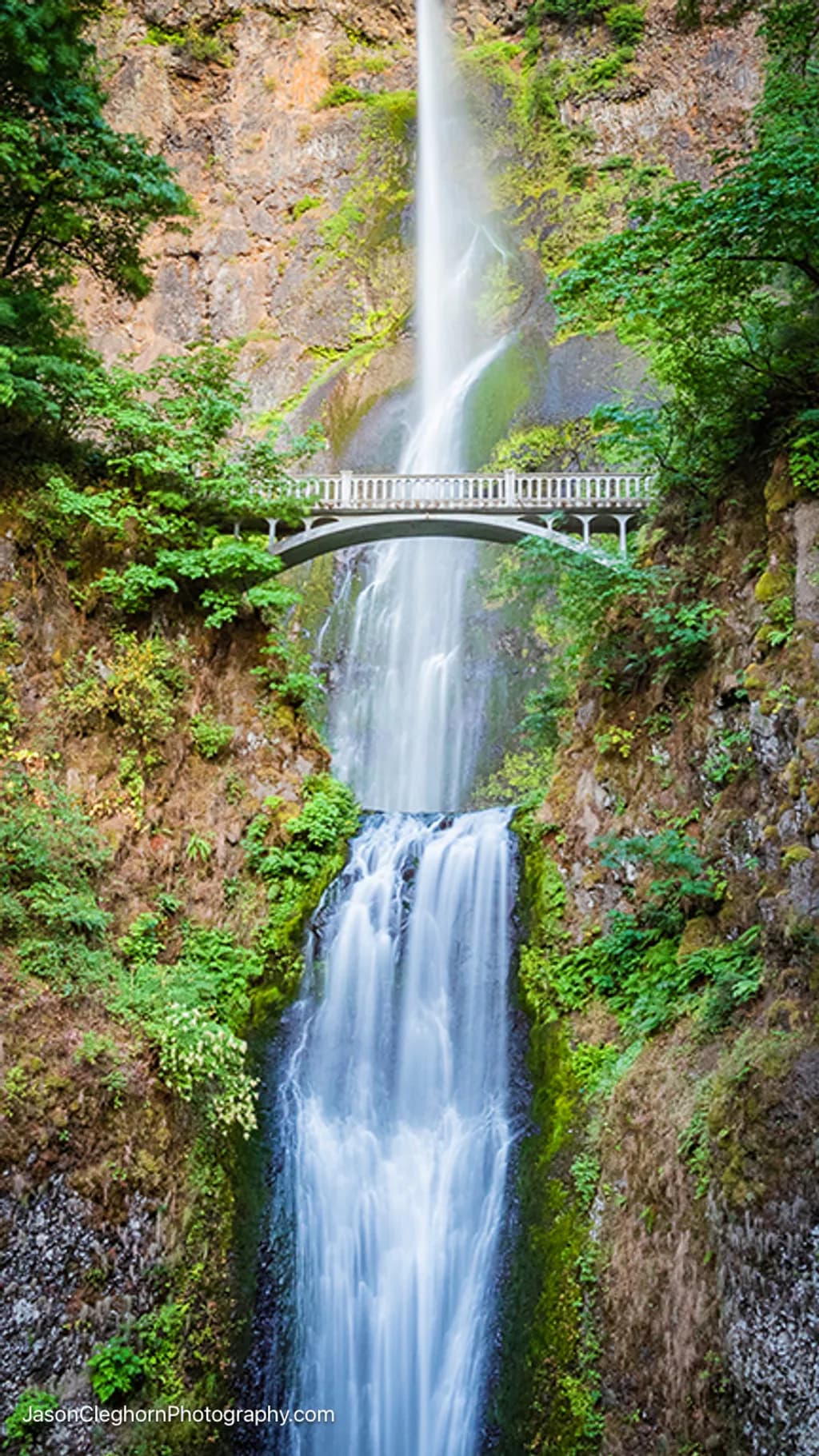Multnomah Falls View