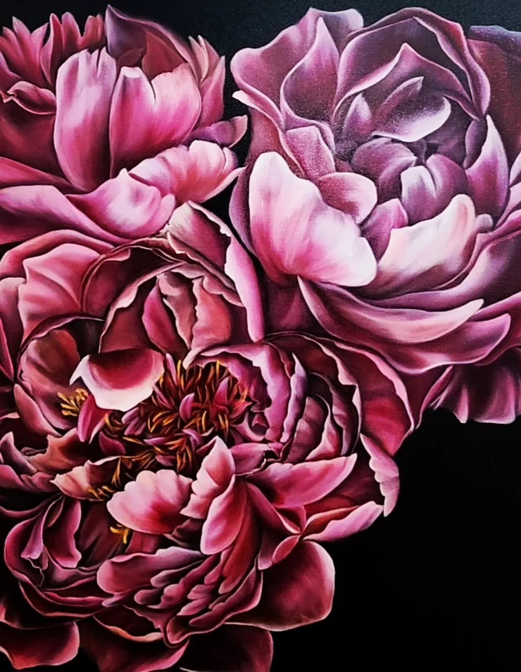Pink Peonies