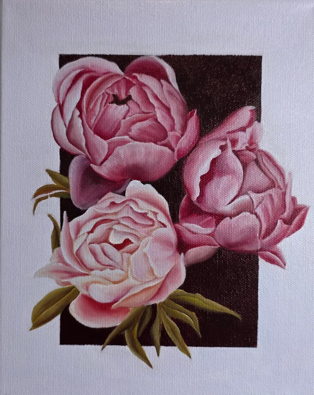Pink Peonies Trio