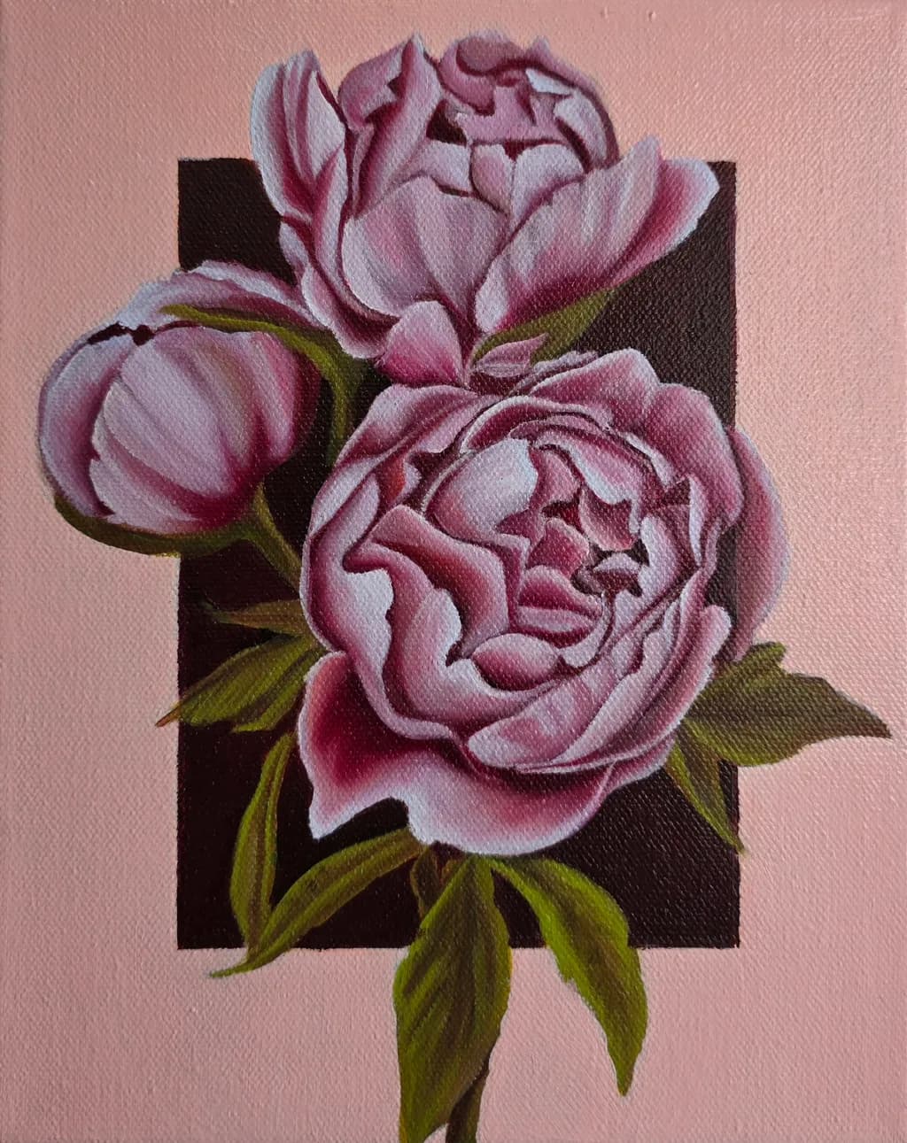 Pink Peonies Contrast