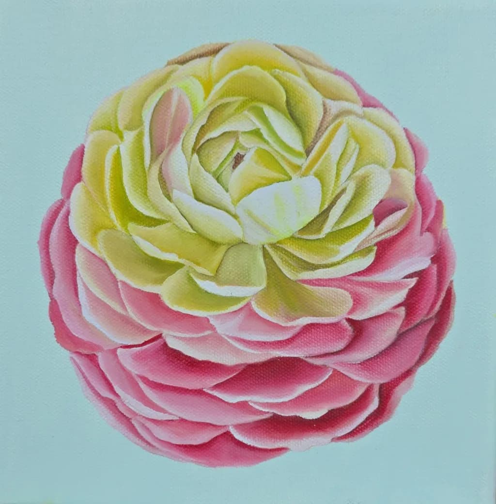 Yellow and Pink Blossom