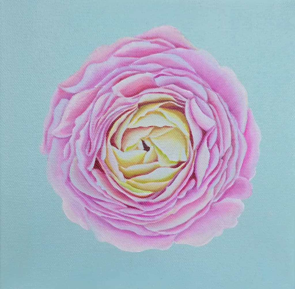 Pink Rose Bloom