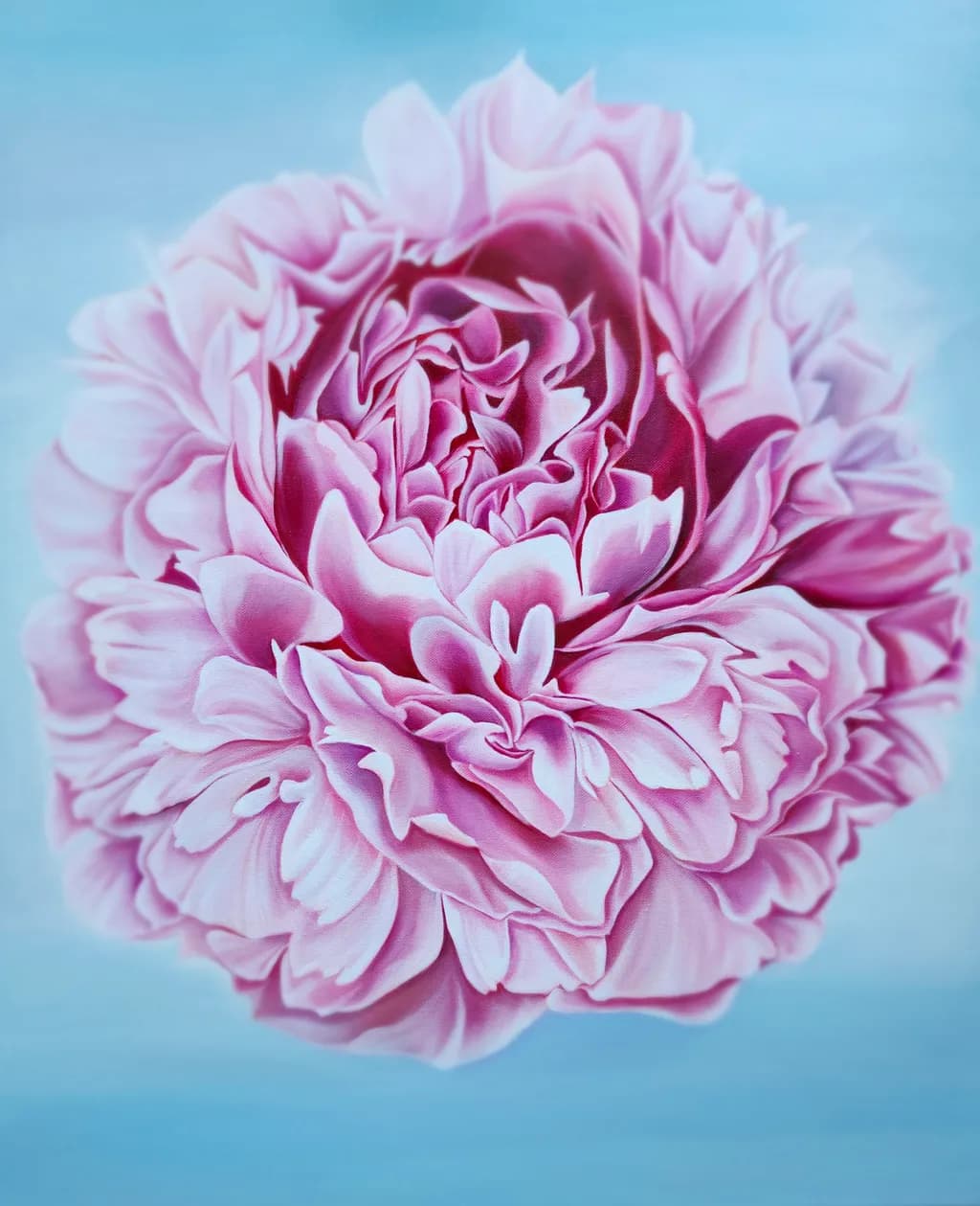 Pink Peony Bloom