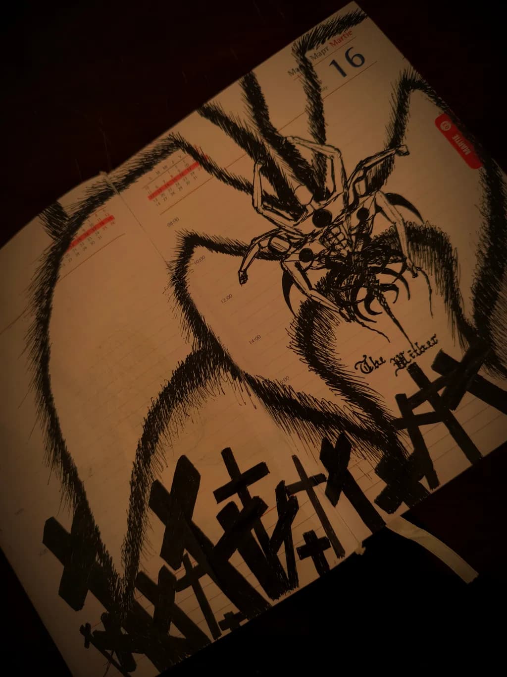 The Writer Spider
