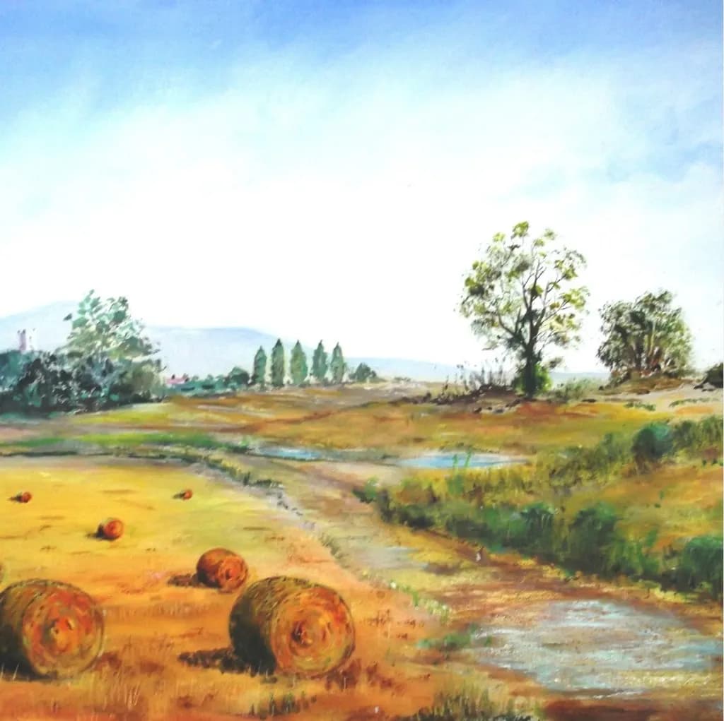 Harvest Field