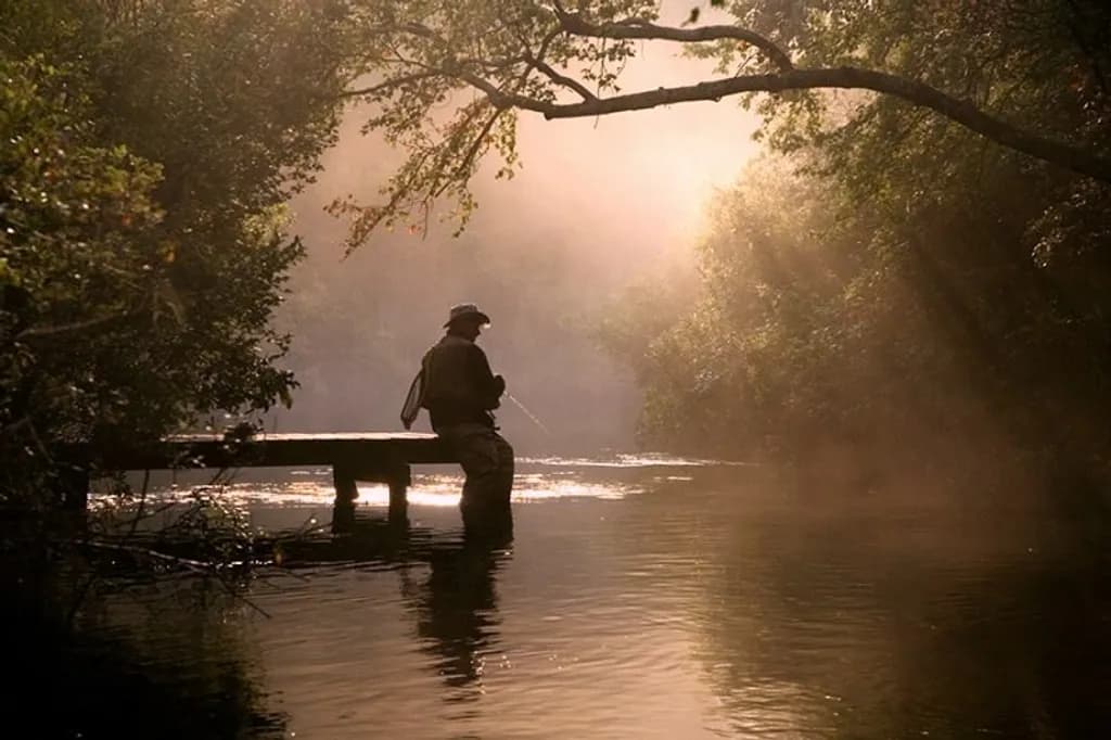 Morning Cast
