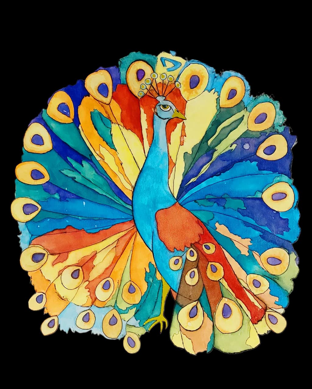 Colorwheel Peacock