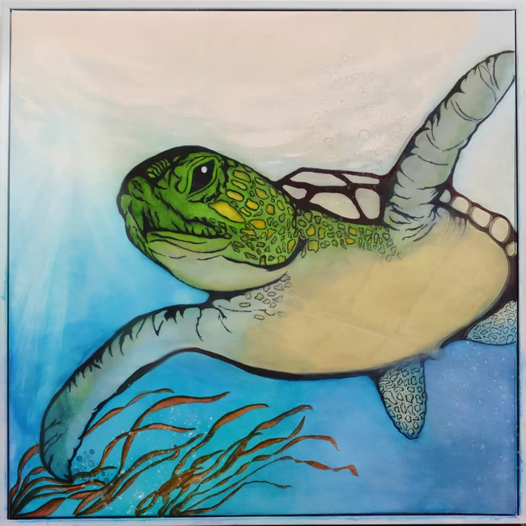 Green Turtle Drift