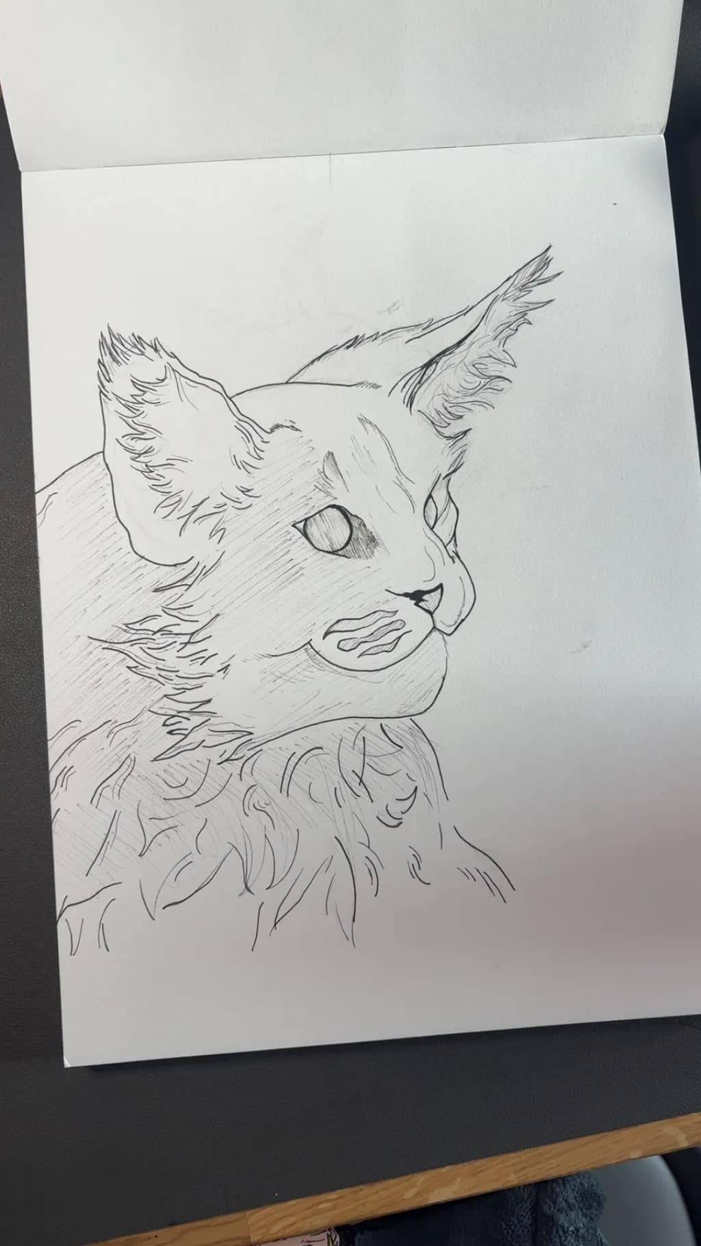 Lynx Gaze