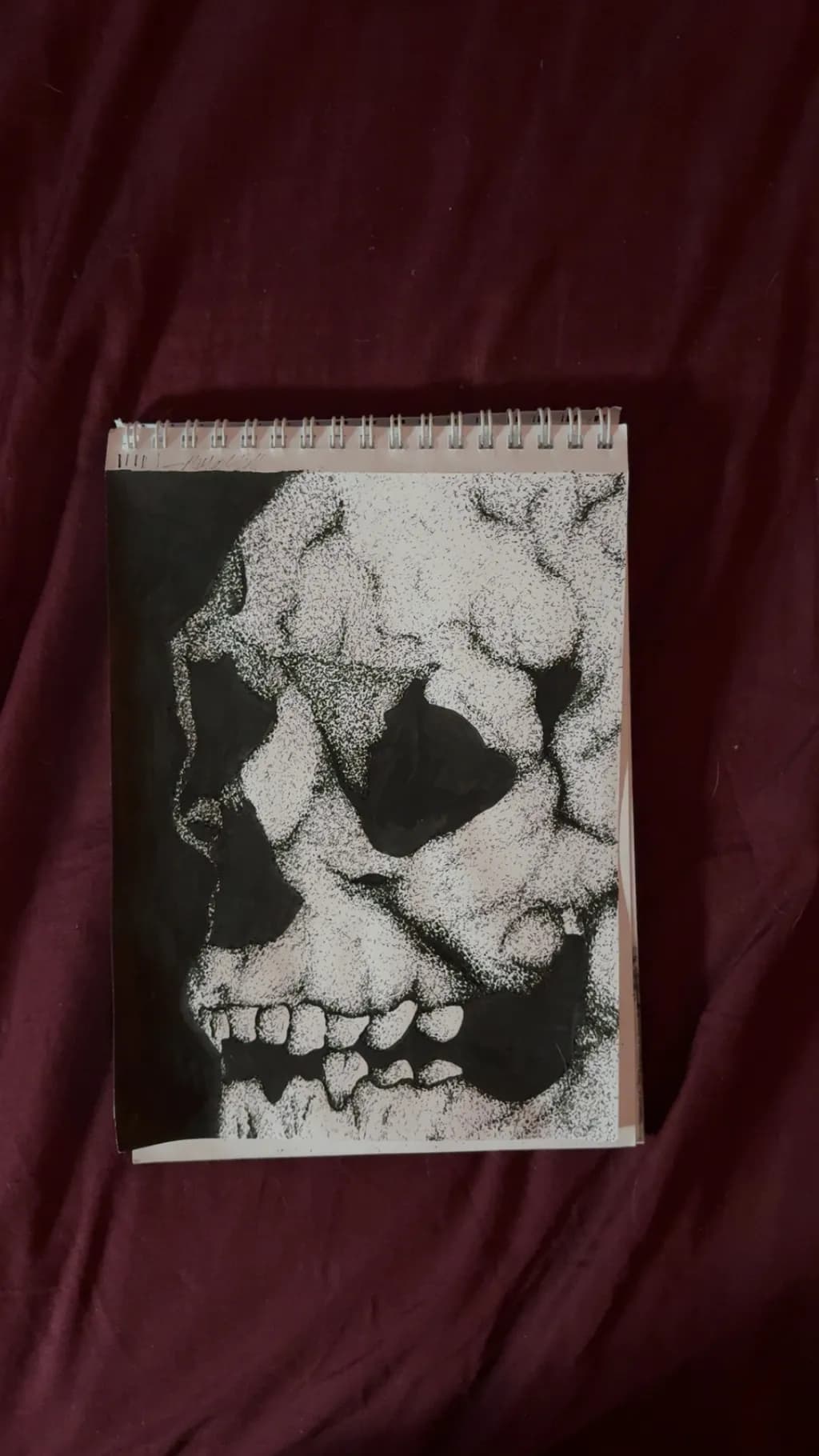 Fragmented Skull