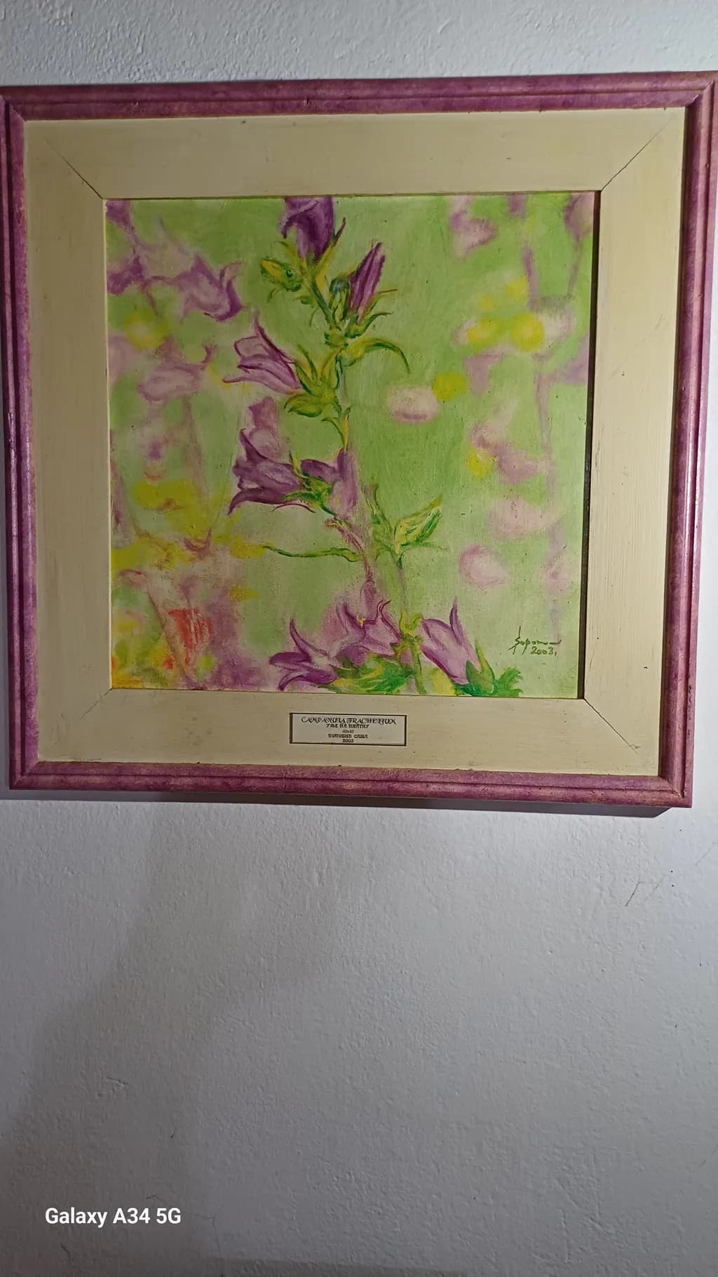 Lilac Bloom